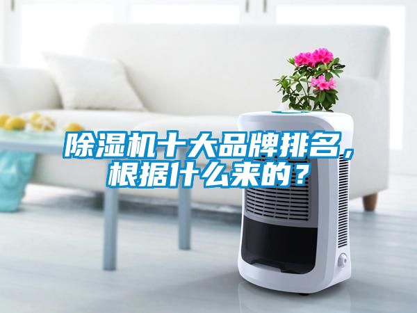 除濕機十大品牌排名，根據什么來的？