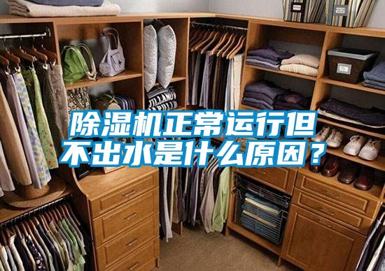 除濕機正常運行但不出水是什么原因？