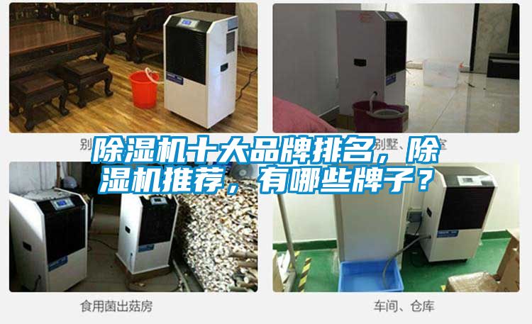 除濕機十大品牌排名，除濕機推薦，有哪些牌子？