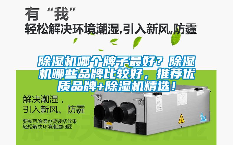 除濕機哪個牌子最好？除濕機哪些品牌比較好，推薦優質品牌+除濕機精選！