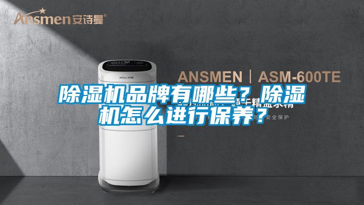 除濕機品牌有哪些？除濕機怎么進行保養？