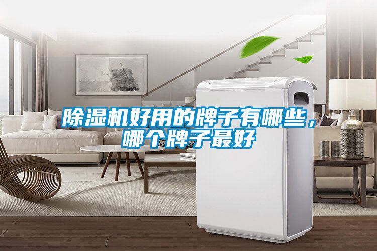 除濕機好用的牌子有哪些，哪個牌子最好