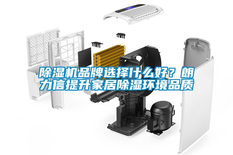 除濕機品牌選擇什么好？朗力信提升家居除濕環境品質