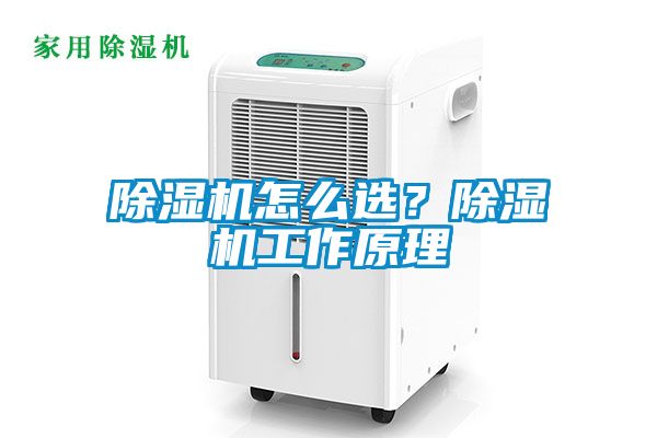 除濕機怎么選？除濕機工作原理