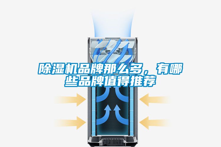 除濕機品牌那么多，有哪些品牌值得推薦