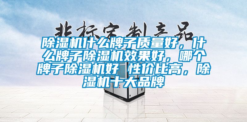 除濕機(jī)什么牌子質(zhì)量好，什么牌子除濕機(jī)效果好，哪個牌子除濕機(jī)好 性價比高，除濕機(jī)十大品牌