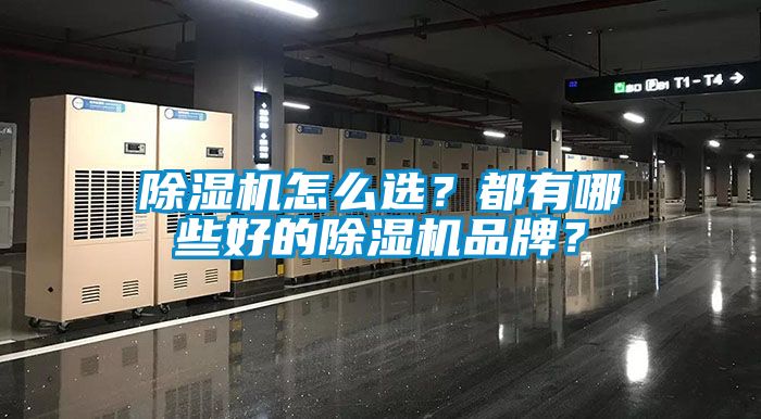 除濕機(jī)怎么選？都有哪些好的除濕機(jī)品牌？
