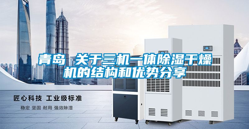 青島 關于三機一體除濕干燥機的結(jié)構(gòu)和優(yōu)勢分享