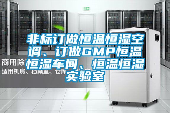 非標訂做恒溫恒濕空調、訂做GMP恒溫恒濕車間、恒溫恒濕實驗室