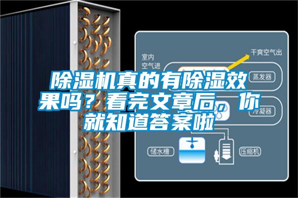 除濕機真的有除濕效果嗎？看完文章后，你就知道答案啦