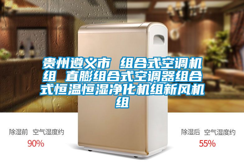 貴州遵義市 組合式空調(diào)機組 直膨組合式空調(diào)器組合式恒溫恒濕凈化機組新風(fēng)機組