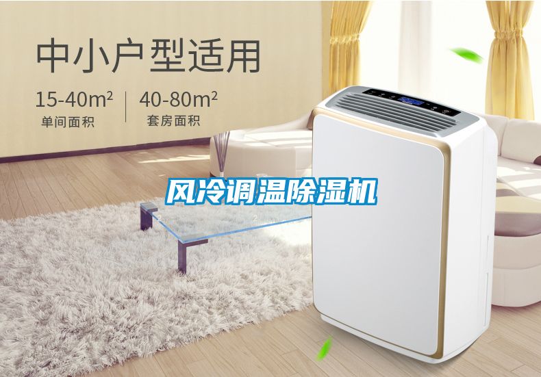 風冷調(diào)溫除濕機