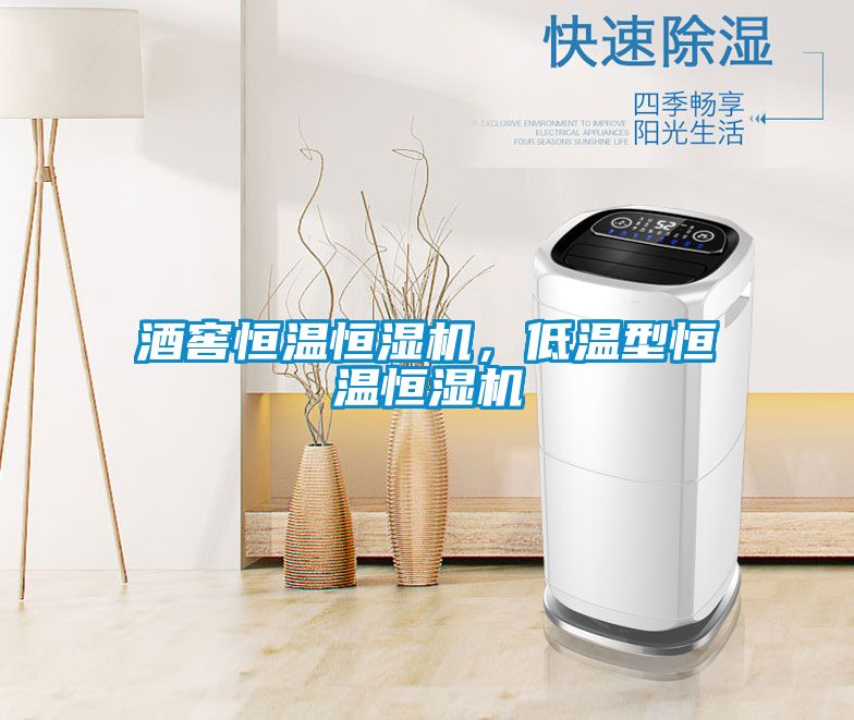 酒窖恒溫恒濕機(jī)，低溫型恒溫恒濕機(jī)