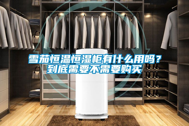 雪茄恒溫恒濕柜有什么用嗎？到底需要不需要購買