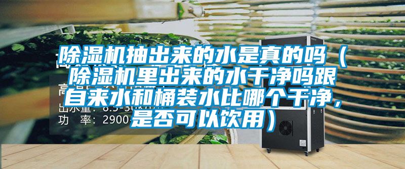 除濕機(jī)抽出來的水是真的嗎（除濕機(jī)里出來的水干凈嗎跟自來水和桶裝水比哪個(gè)干凈，是否可以飲用）