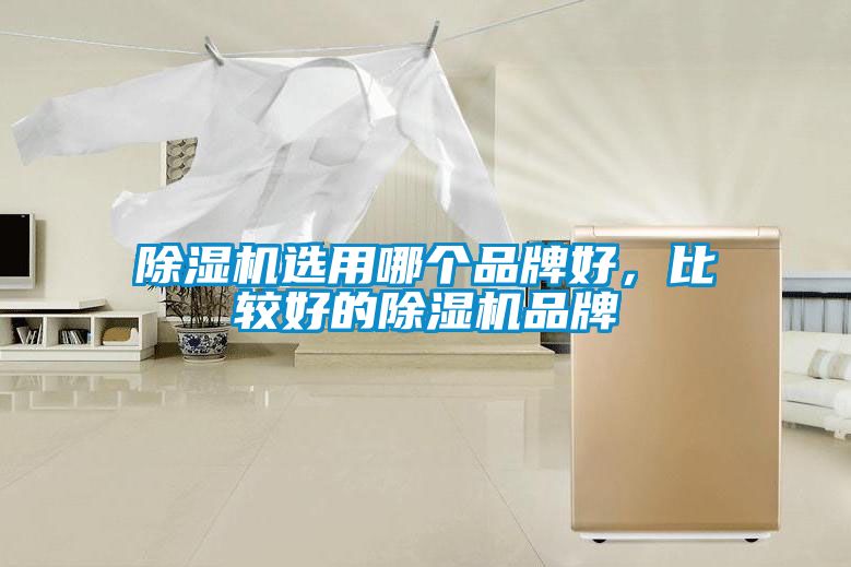 除濕機選用哪個品牌好，比較好的除濕機品牌