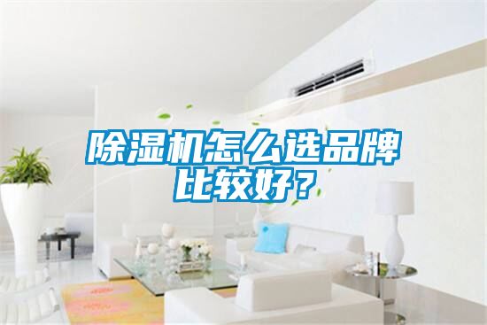除濕機(jī)怎么選品牌比較好？