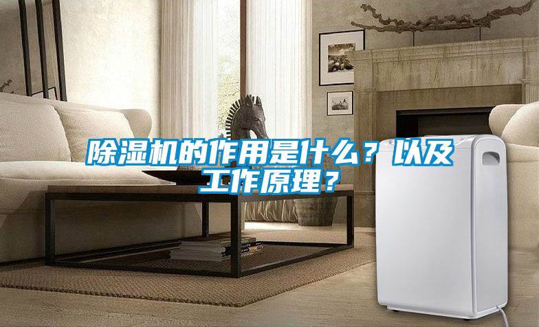 除濕機的作用是什么？以及工作原理？