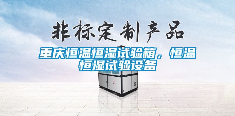重慶恒溫恒濕試驗箱，恒溫恒濕試驗設備