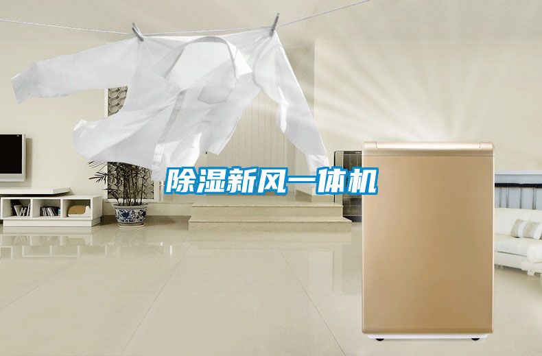 除濕新風(fēng)一體機