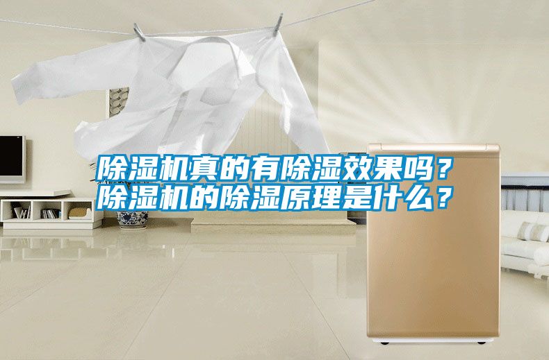 除濕機真的有除濕效果嗎？除濕機的除濕原理是什么？