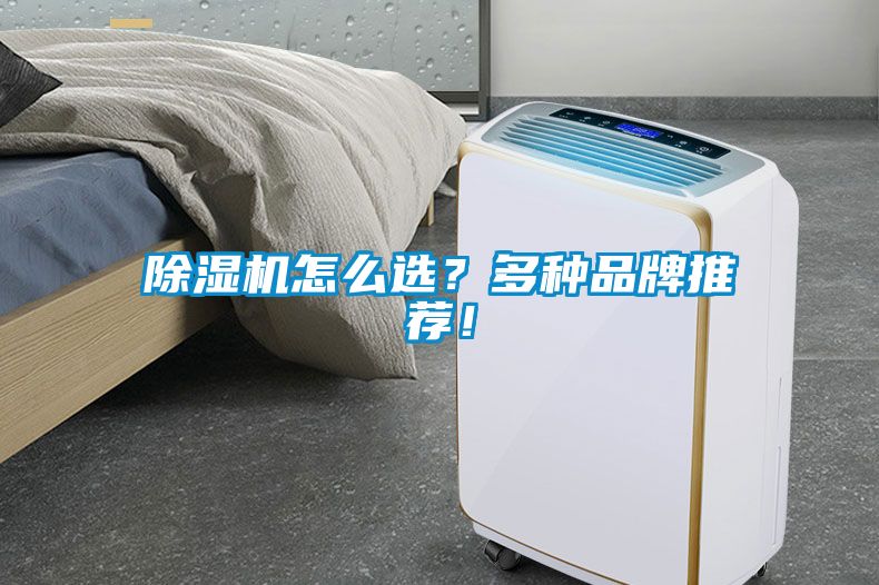 除濕機(jī)怎么選？多種品牌推薦！