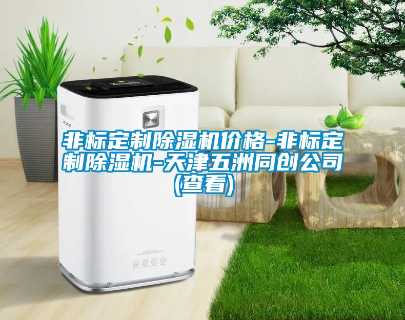 非標定制除濕機價格-非標定制除濕機-天津五洲同創(chuàng)公司(查看)