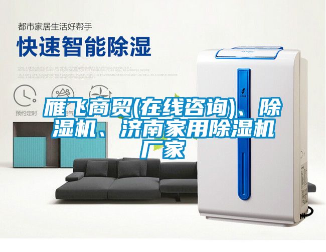 雁飛商貿(在線咨詢)、除濕機、濟南家用除濕機廠家