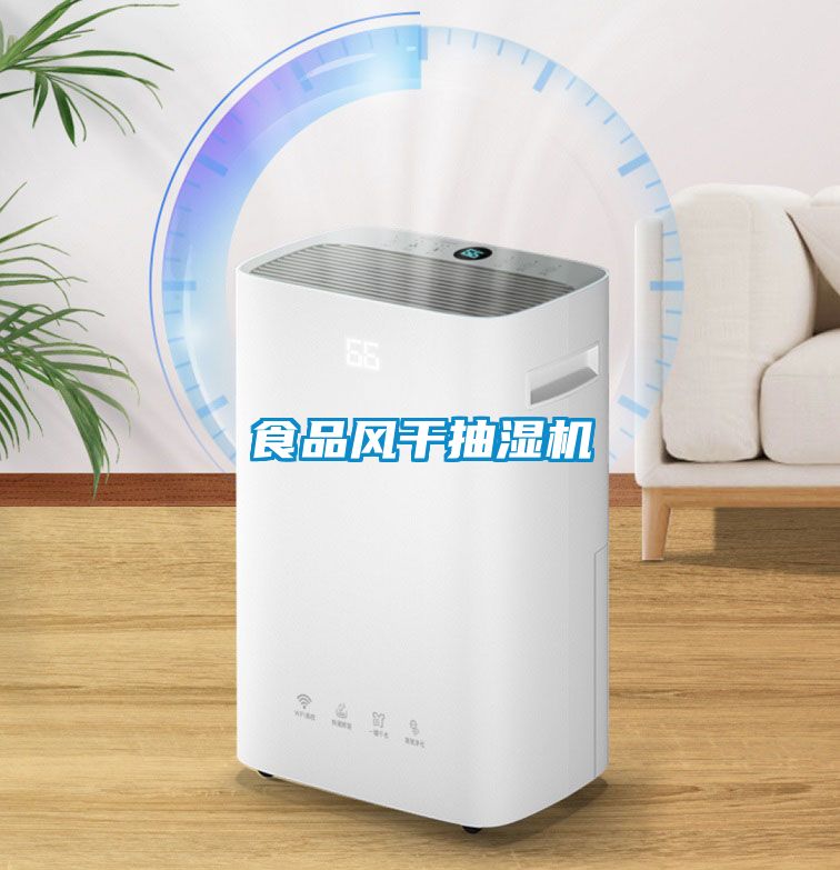 食品風(fēng)干抽濕機