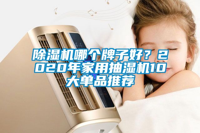 除濕機哪個牌子好？2020年家用抽濕機10大單品推薦