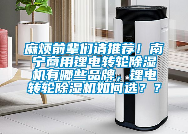 麻煩前輩們請推薦！南寧商用鋰電轉(zhuǎn)輪除濕機(jī)有哪些品牌，鋰電轉(zhuǎn)輪除濕機(jī)如何選？？
