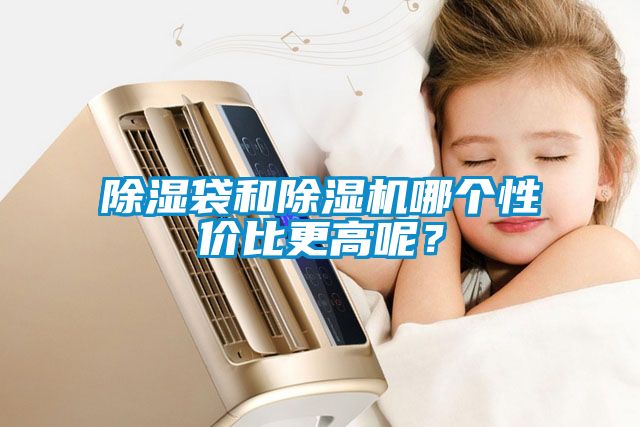 除濕袋和除濕機哪個性價比更高呢？